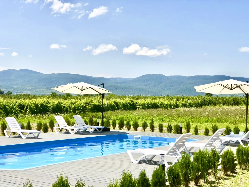 Piscina y viñedos de Finca Idoize
